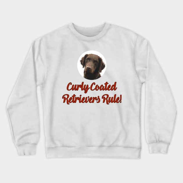 Curly Coated Retrievers Rule! Crewneck Sweatshirt by Naves